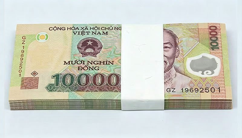 Vietnam, 10000 (10,000) Dong, Lot 100 Pcs, P-119, Random Year, Polymer, UNC